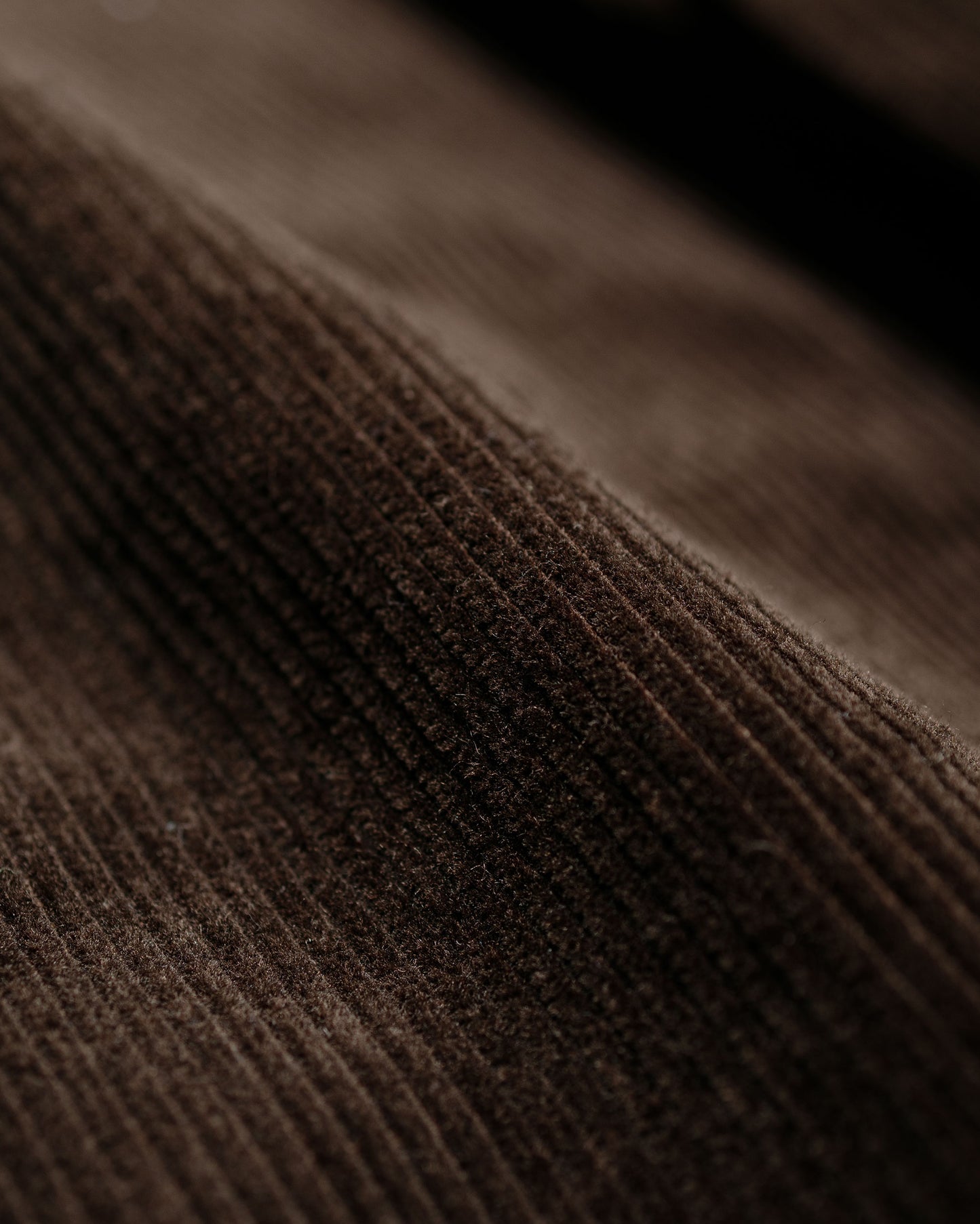 lost & found Beams Plus Beams Plus 2Pleats Corduroy Dark Brown