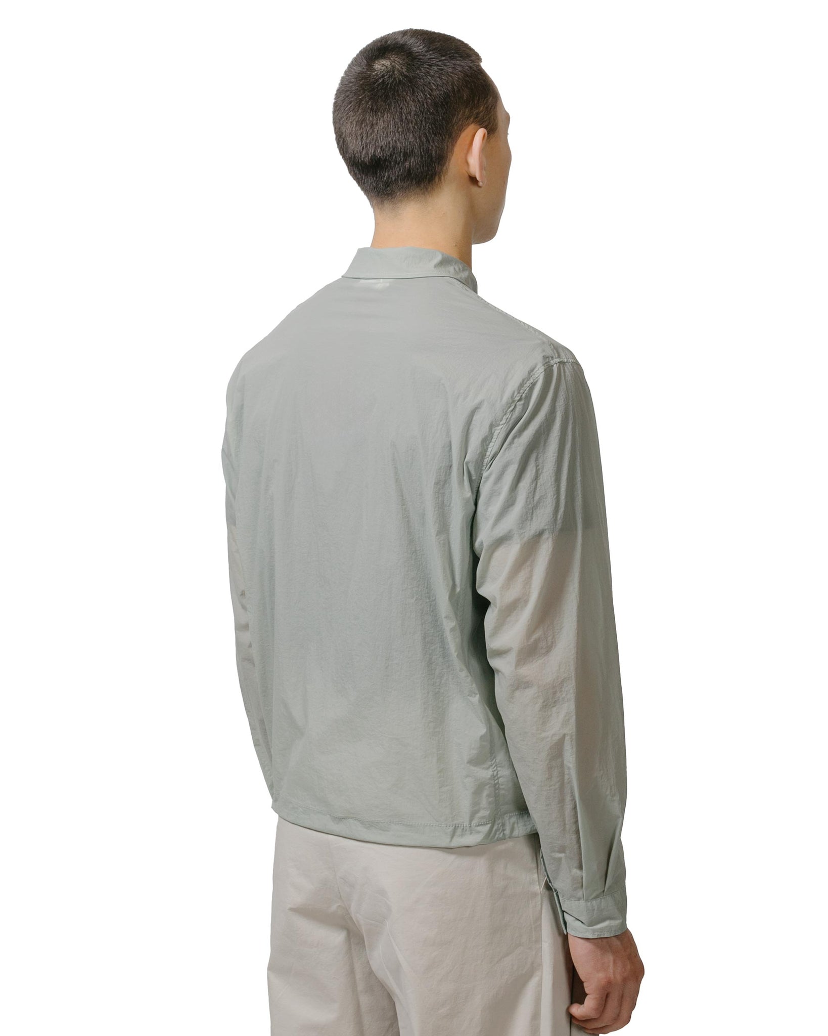 Amomento Sheer Zip Up Shirts Mint model back