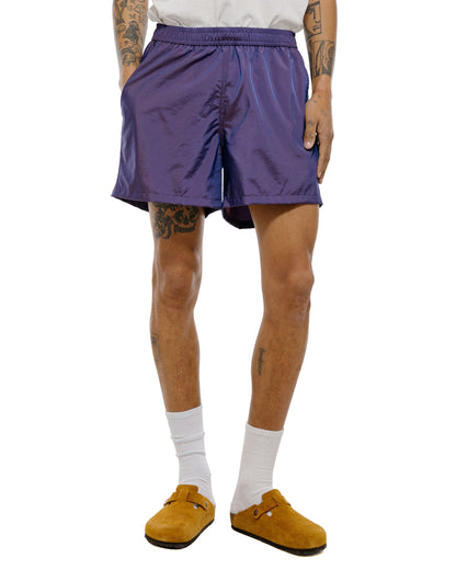 Bather Iridescent Grape Modern Trunk