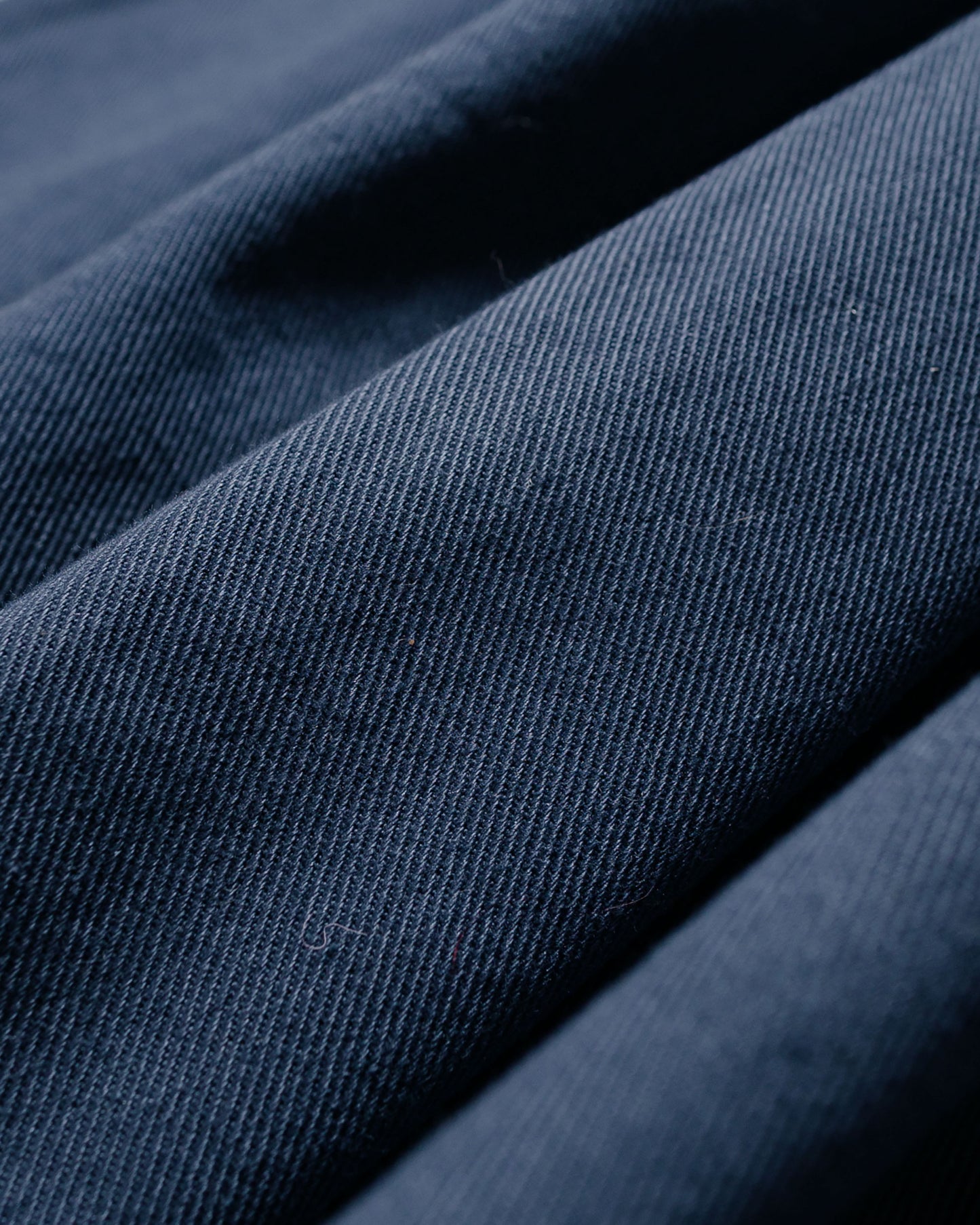 Danton 10/- Loose Chino Tuck Pants Blue