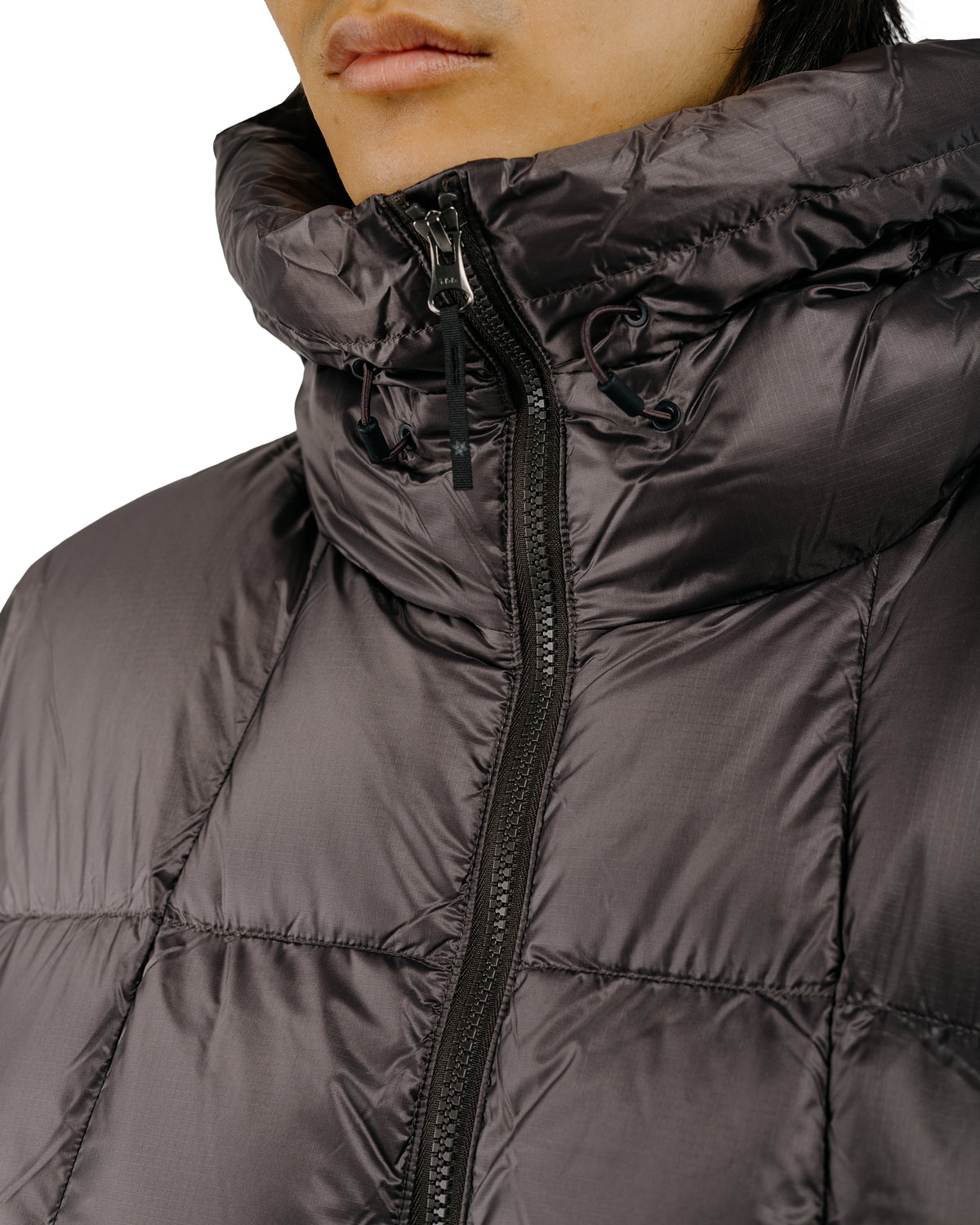 Goldwin Crystalite Down Parka Espresso