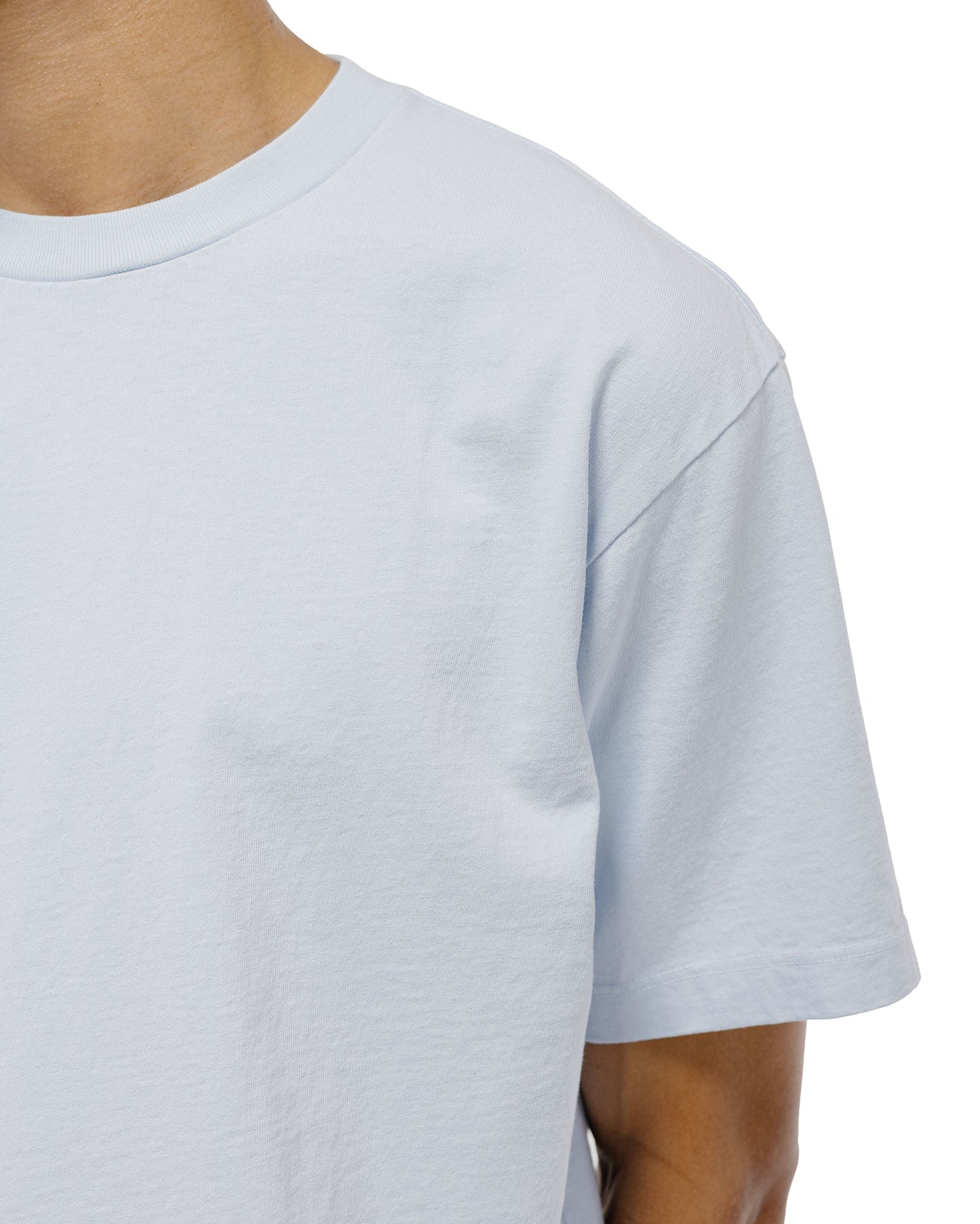 lost & found Lady White Co. Lady White Co. Municipal T-Shirt Pale Blue