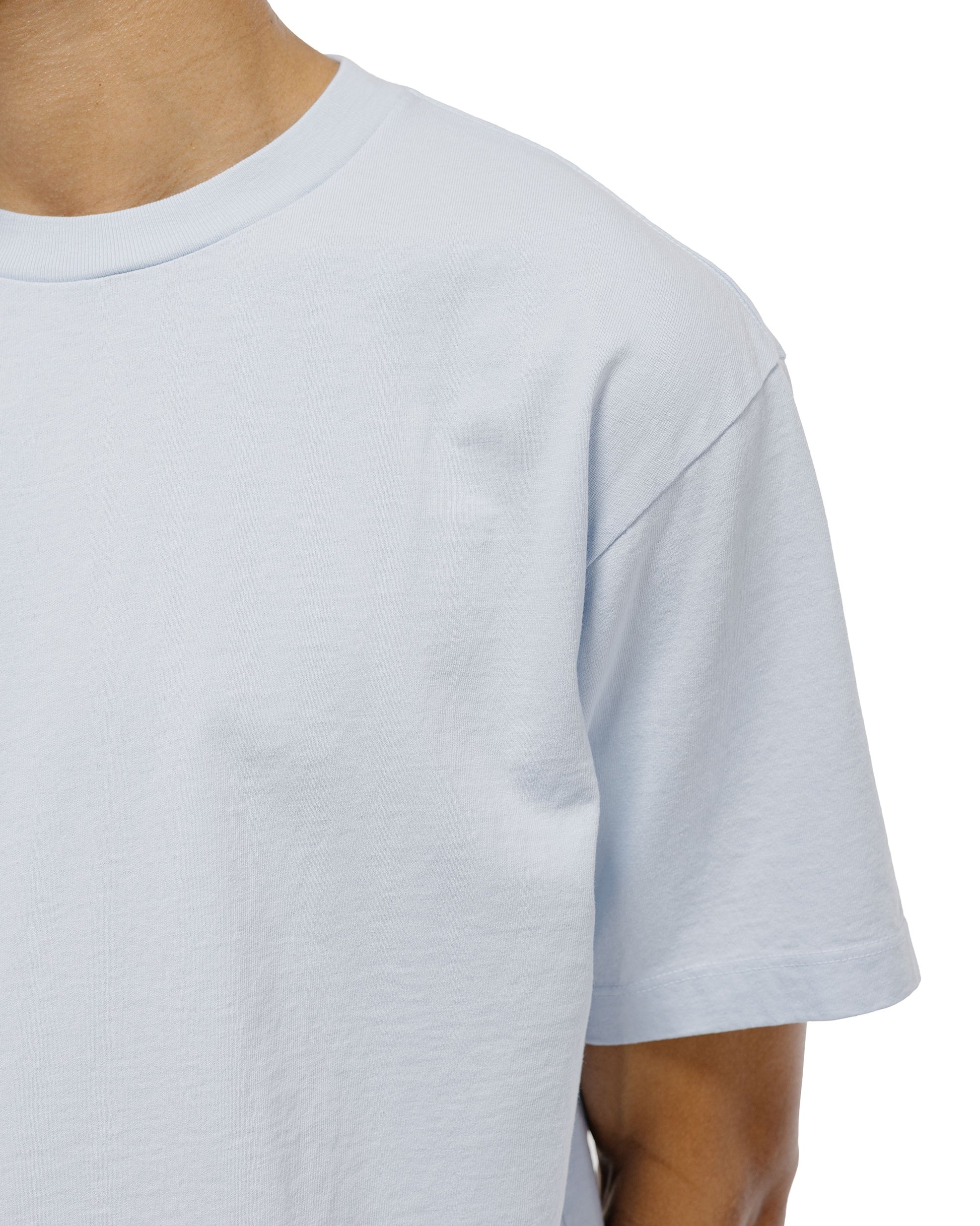 lost & found Lady White Co. Lady White Co. Municipal T-Shirt Pale Blue