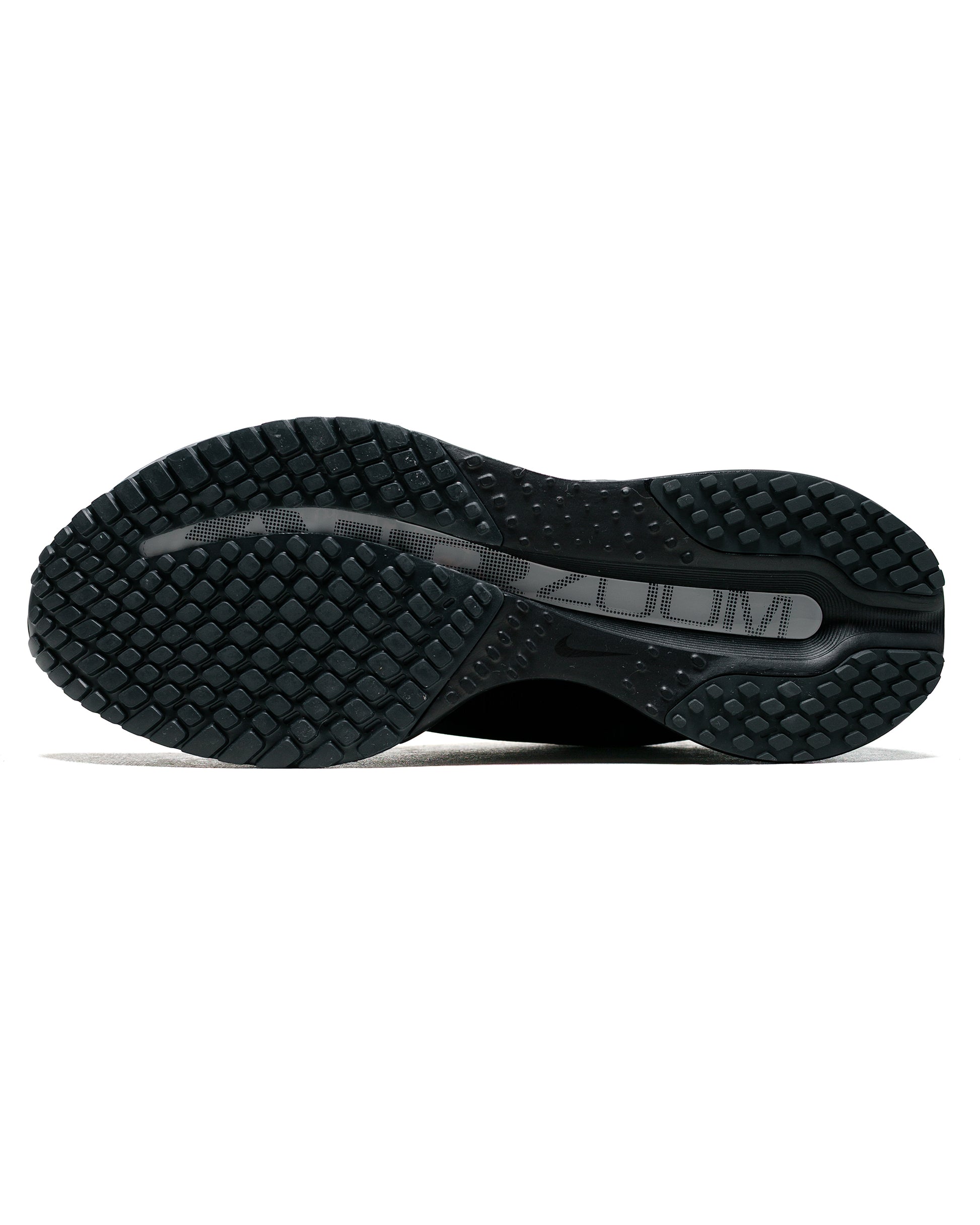 Nike Pegasus Premium SP Black/Metallic Silver