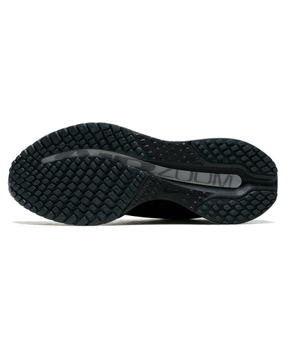 Nike Pegasus Premium SP Black/Metallic Silver